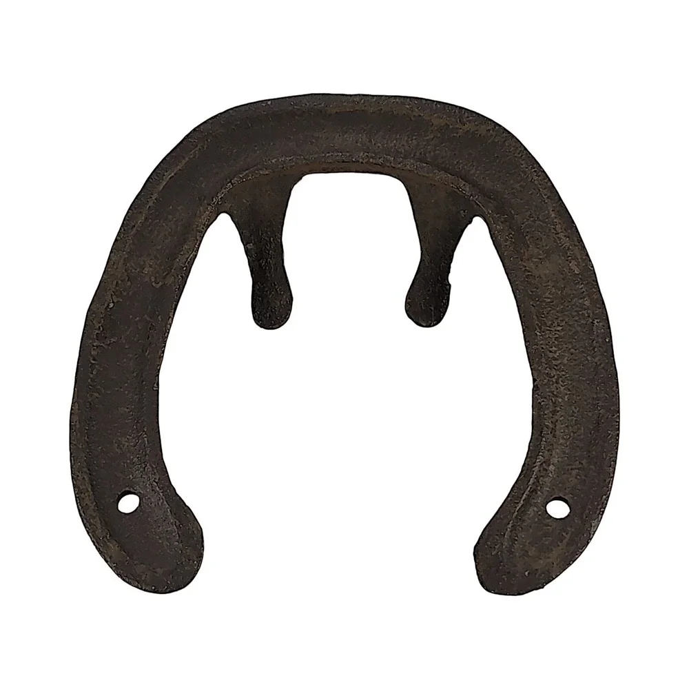 Cast Iron Horseshoe Good Luck Hook